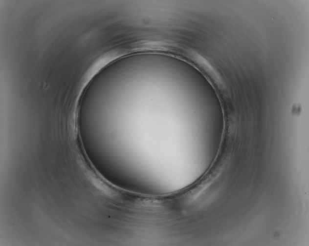 X0000094421370200711151311