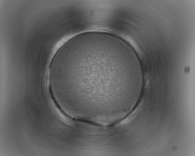 X0000094421371200711151311