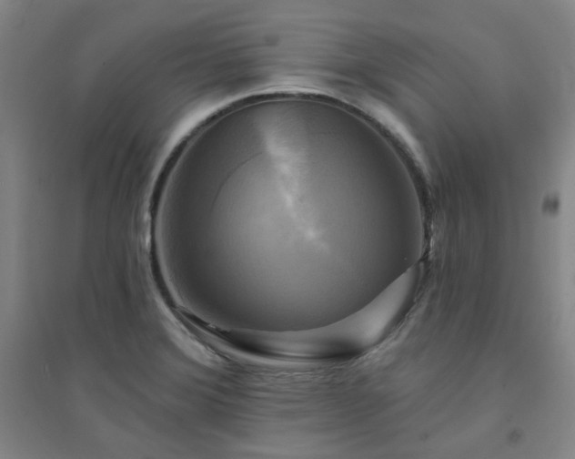 X0000094421372200711151311