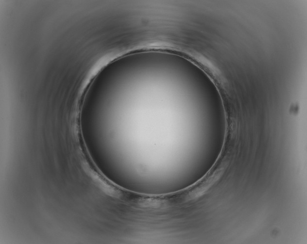 X0000094421374200711151311