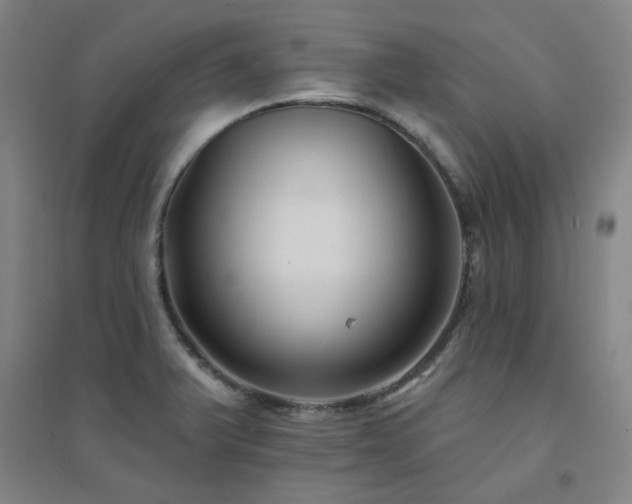 X0000094421375200711151311