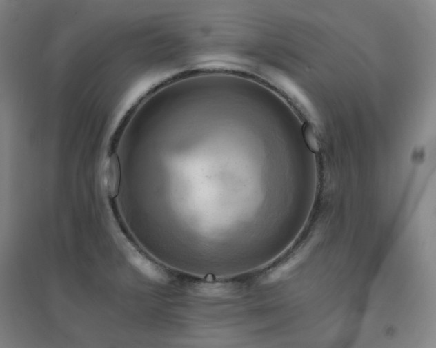 X0000094421376200711151311