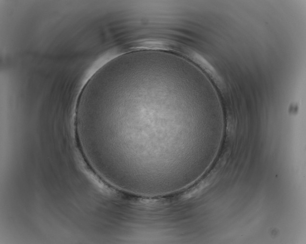 X0000094421378200711151311