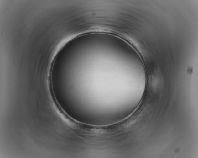 X0000094421379200711151311