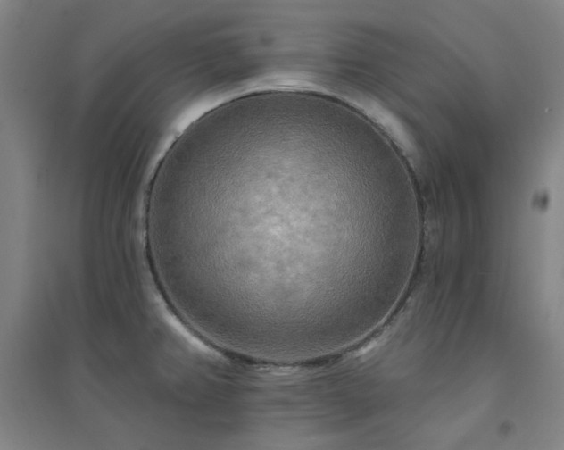 X0000094421382200711151310