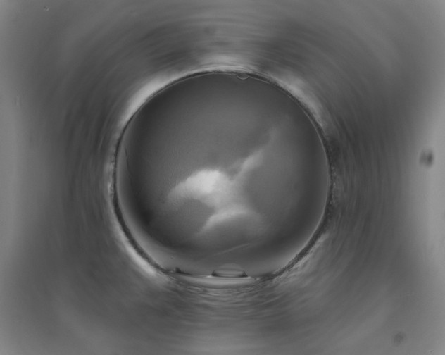 X0000094421383200711151310