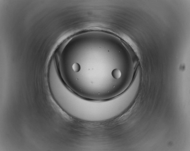 X0000094421384200711151310