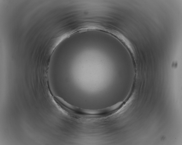 X0000094421385200711151310