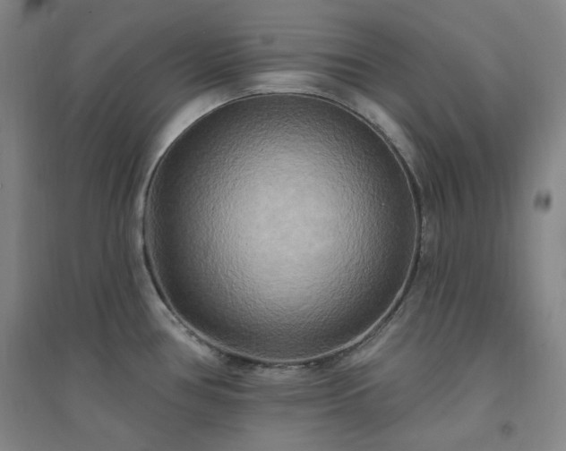 X0000094421386200711151310