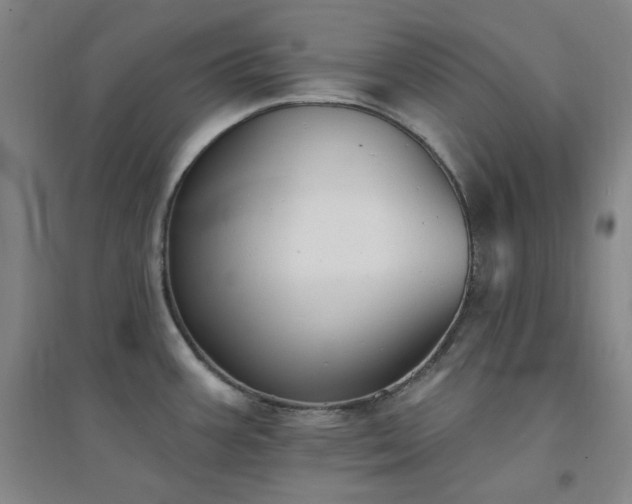 X0000094421387200711151310
