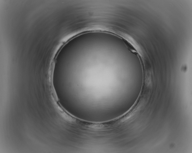 X0000094421388200711151310