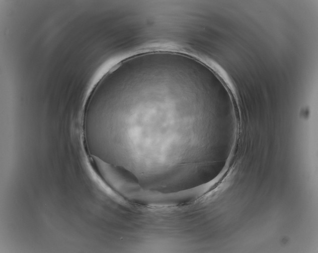 X0000094421389200711151310