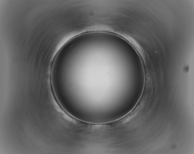 X0000094421390200711151310