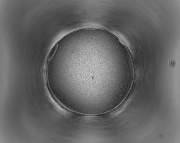 X0000094421391200711151310