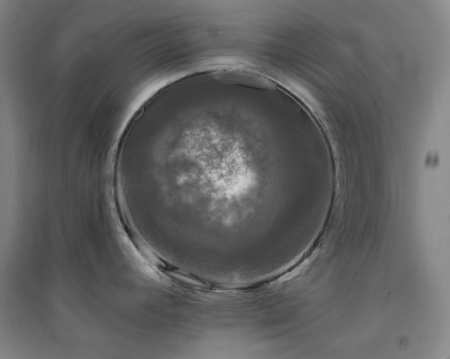 X0000094421392200711151310