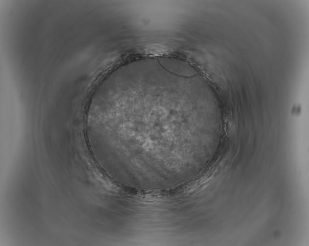 X0000094421393200711151310