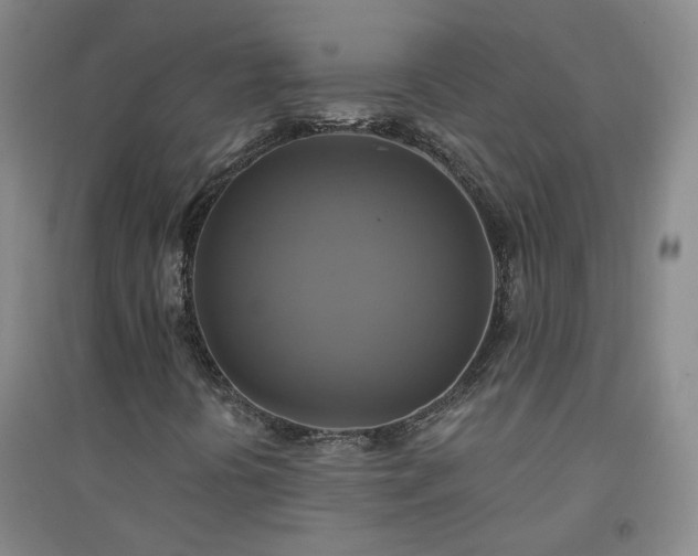 X0000094421394200711151310