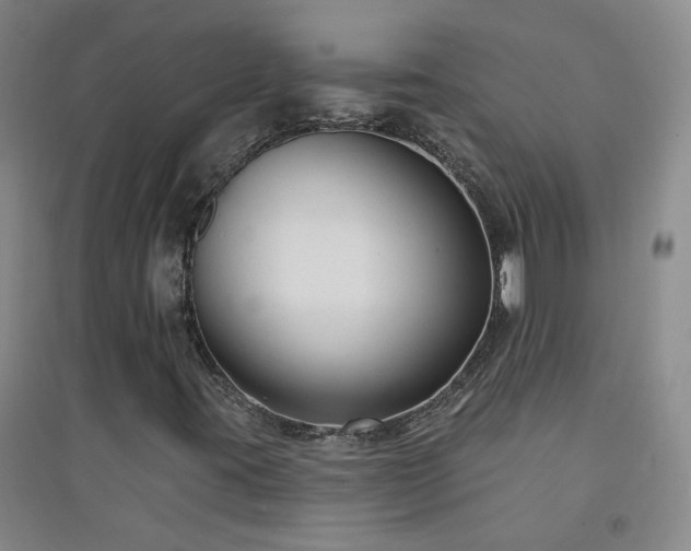 X0000094421395200711151310