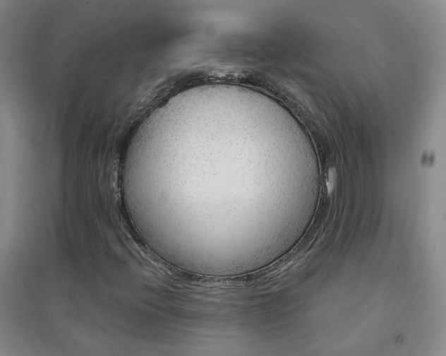 X0000094421396200711151310