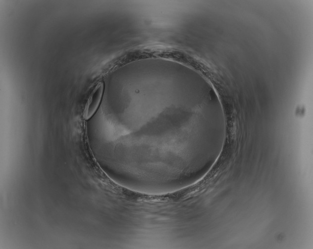 X0000094421397200711151310