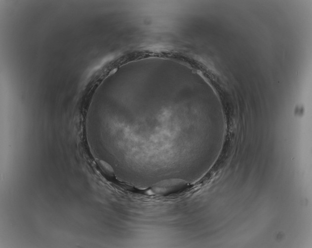 X0000094421398200711151310