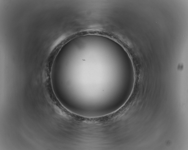 X0000094421400200711151310