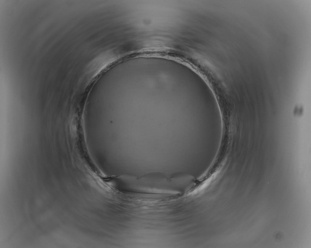 X0000094421401200711151310