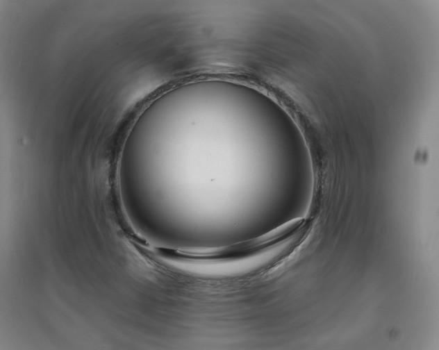 X0000094421402200711151310