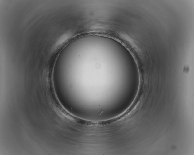 X0000094421403200711151310