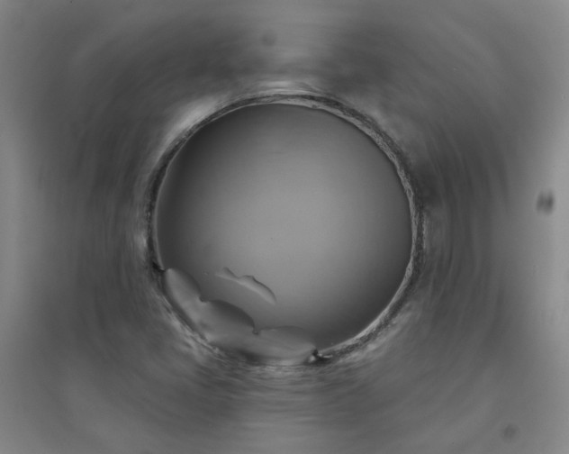 X0000094421405200711151310