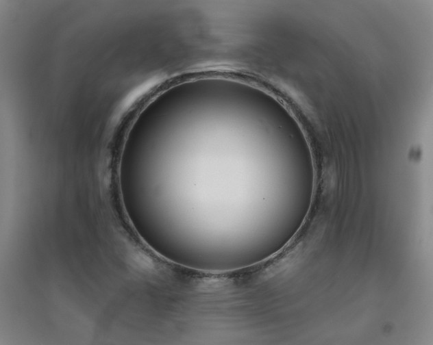 X0000094421406200711151310