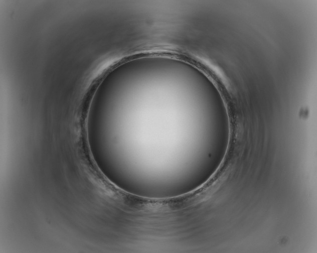 X0000094421407200711151310