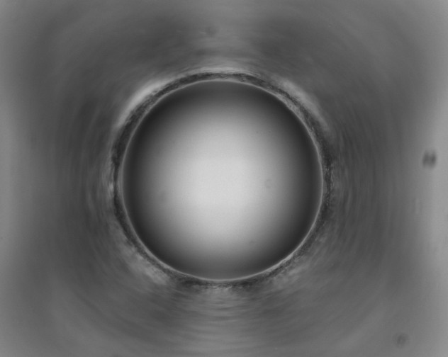 X0000094421408200711151310