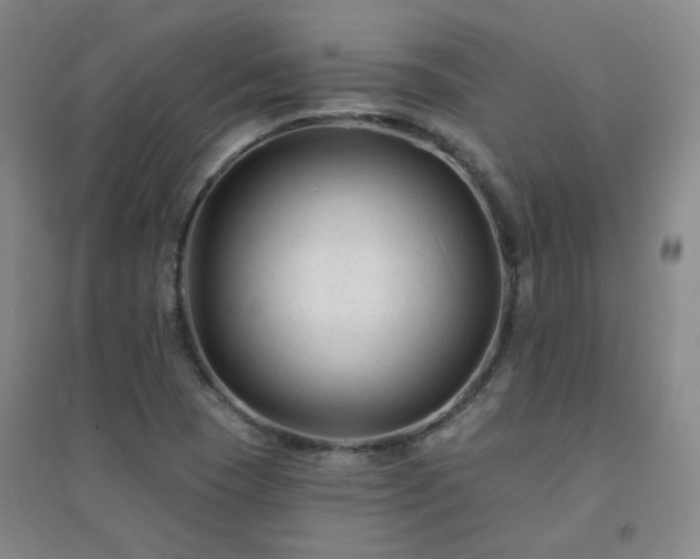 X0000094421409200711151310