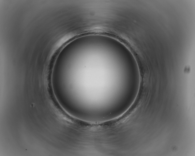 X0000094421410200711151310