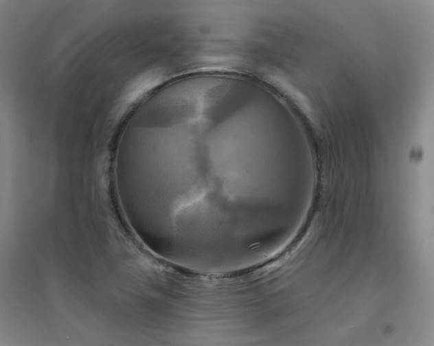 X0000094421411200711151310