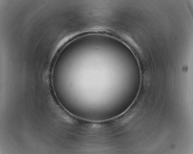 X0000094421412200711151310