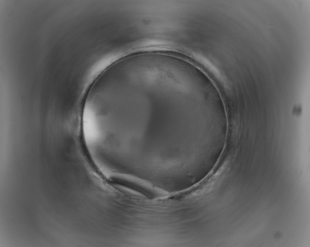 X0000094421413200711151310