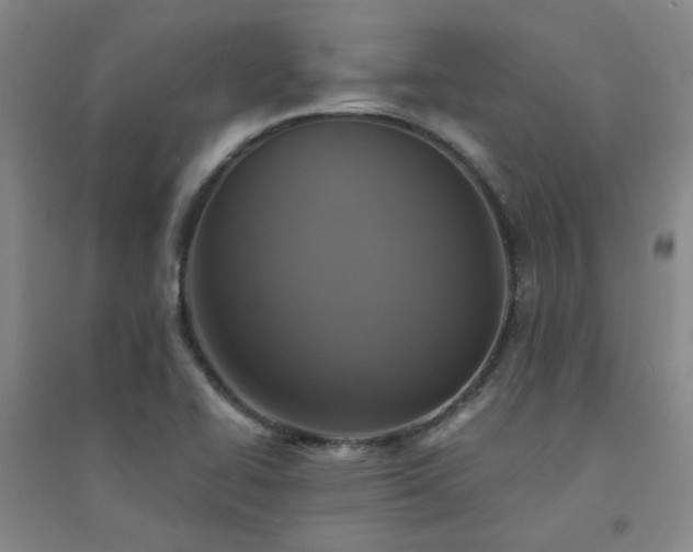 X0000094421414200711151310