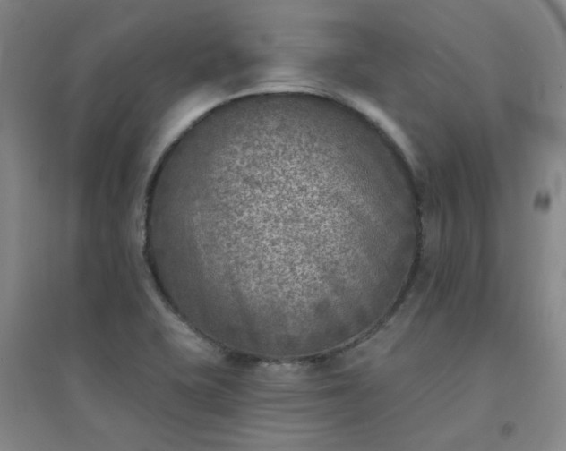 X0000094421415200711151310