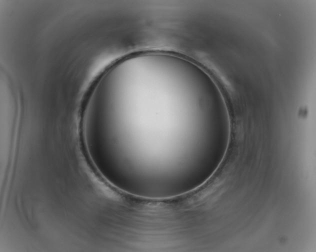 X0000094421416200711151310