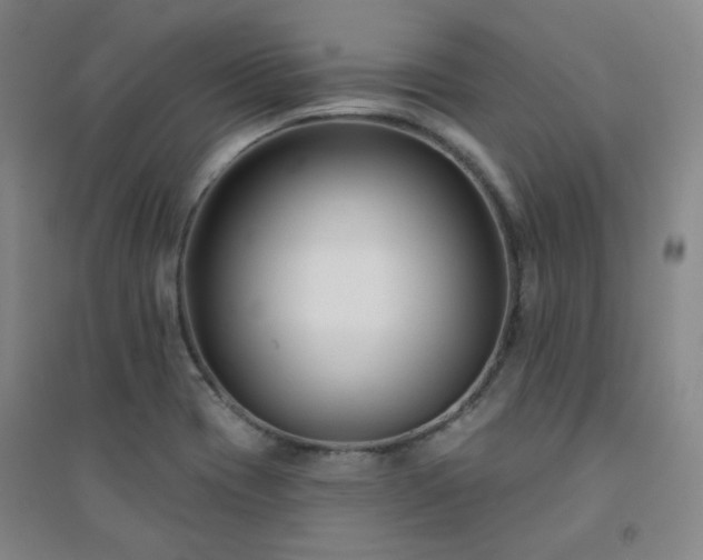 X0000094421417200711151310