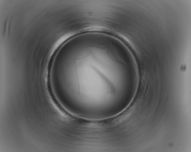 X0000094421418200711151310