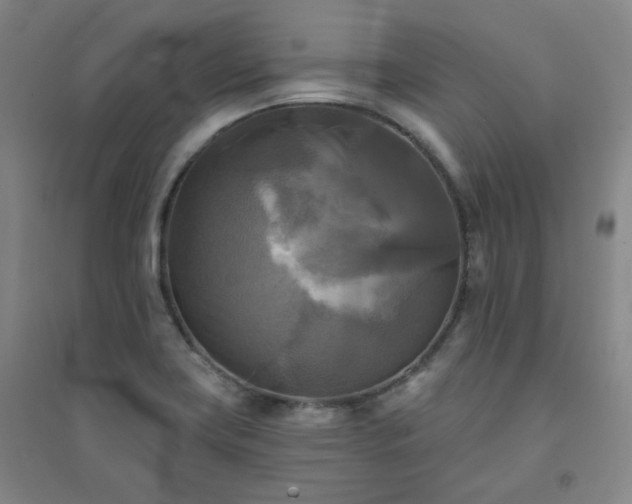 X0000094421419200711151310