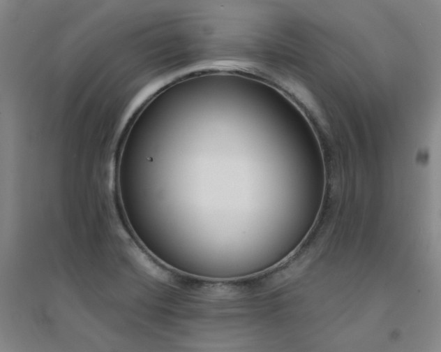 X0000094421420200711151310