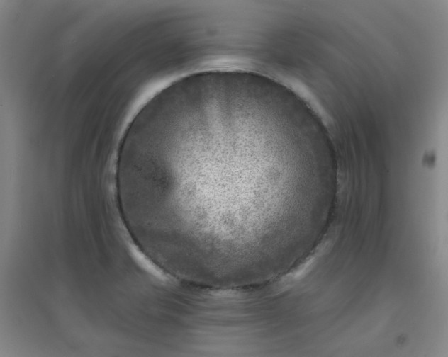 X0000094421421200711151310