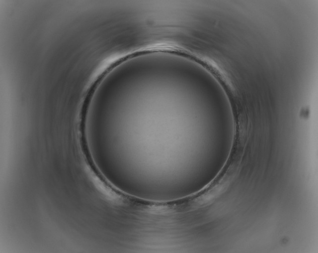 X0000094421422200711151310