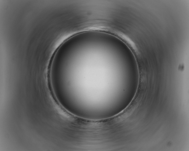 X0000094421423200711151310