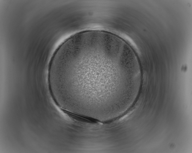 X0000094421424200711151310
