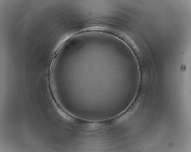 X0000094421425200711151310